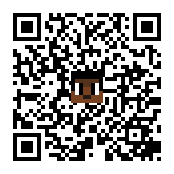 skins.qr_code_alt