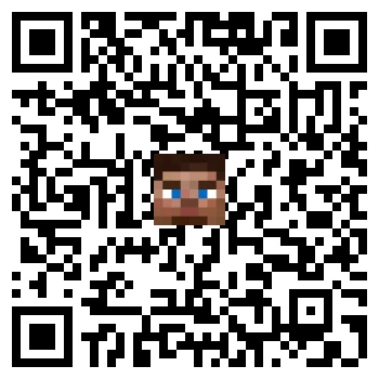 skins.qr_code_alt