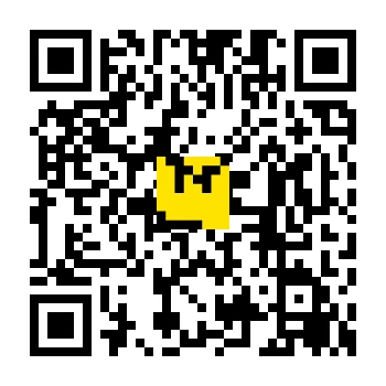 skins.qr_code_alt