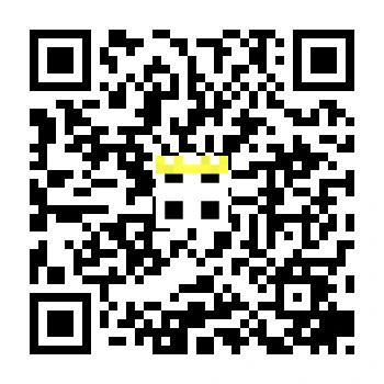 skins.qr_code_alt
