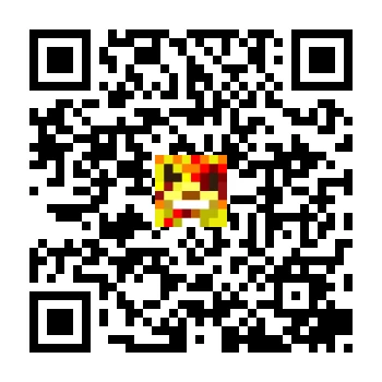 skins.qr_code_alt