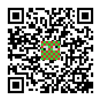 skins.qr_code_alt