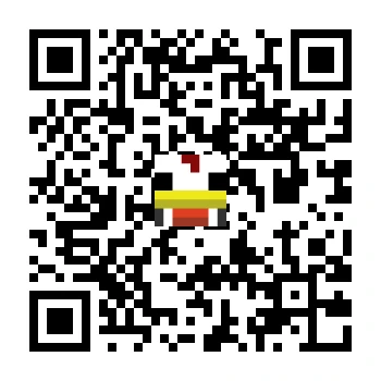 skins.qr_code_alt