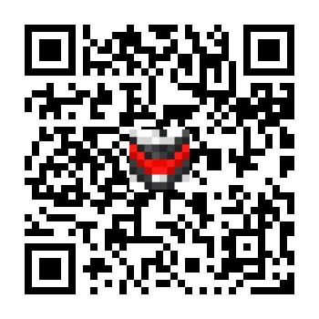 skins.qr_code_alt