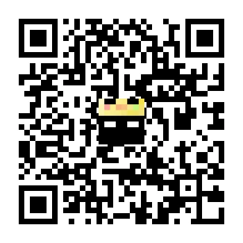 skins.qr_code_alt