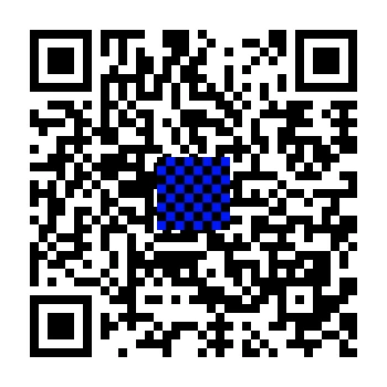 skins.qr_code_alt