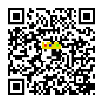 skins.qr_code_alt