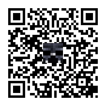 skins.qr_code_alt