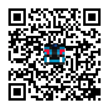 skins.qr_code_alt