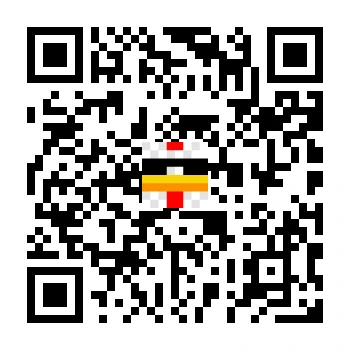 skins.qr_code_alt