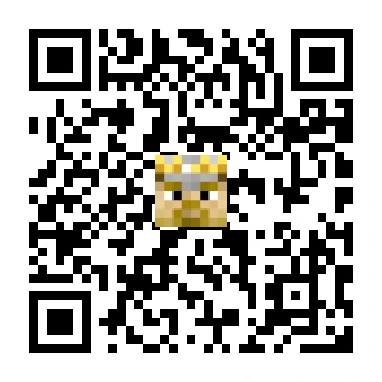 skins.qr_code_alt