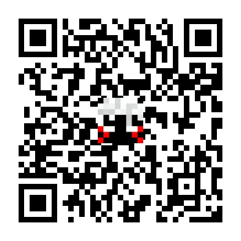skins.qr_code_alt