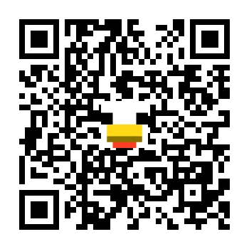 skins.qr_code_alt