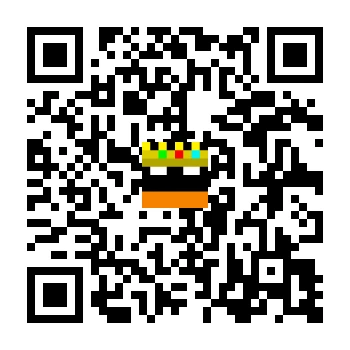 skins.qr_code_alt