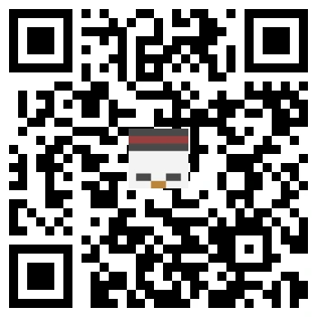 skins.qr_code_alt