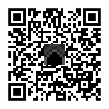 skins.qr_code_alt