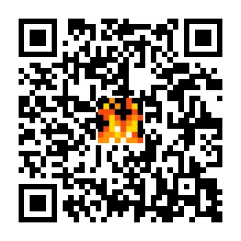 skins.qr_code_alt