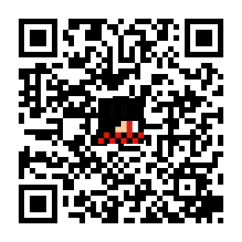 skins.qr_code_alt