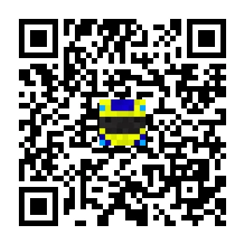 skins.qr_code_alt