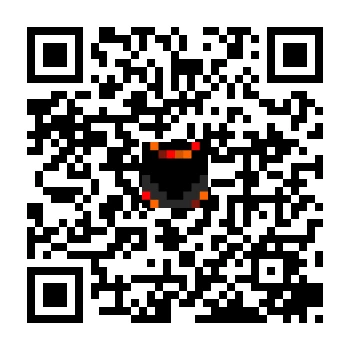 skins.qr_code_alt