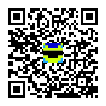 skins.qr_code_alt