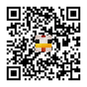 skins.qr_code_alt