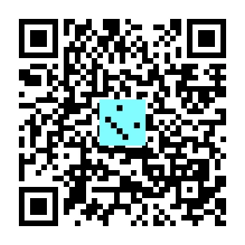 skins.qr_code_alt