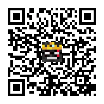 skins.qr_code_alt