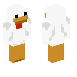 Unknown Skin